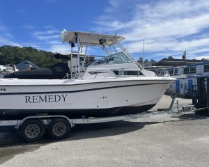 remy-4